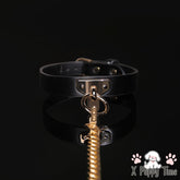 Black Leather Chain Collar with Leash