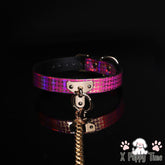 Iridescent Pink Chain Collar with Leash