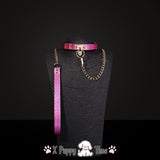 Iridescent Pink Chain Collar with Leash