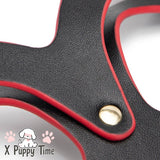 Black Cat Ears Leather Fetish Mask