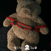 Soft Restraint Rope with Adjustable Loops
