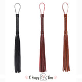 Braided Leather Tease Whip with Loop Handle
