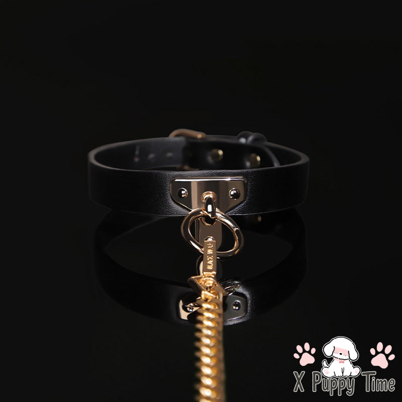 Black Leather Chain Collar with Leash