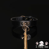 Black Leather Chain Collar with Leash
