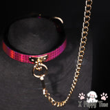 Iridescent Pink Chain Collar with Leash