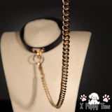 Black Leather Chain Collar with Leash