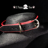 Black Leather Chain Collar with Red Edge