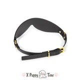 Golden Buckle Leather Discipline Blindfold